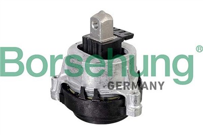 Borsehung B12612