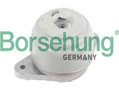 Borsehung B12652