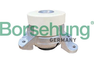 Borsehung B12655