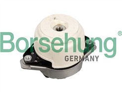 Borsehung B12656