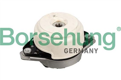 Borsehung B12656