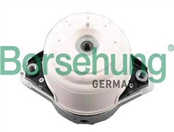 Borsehung B12657