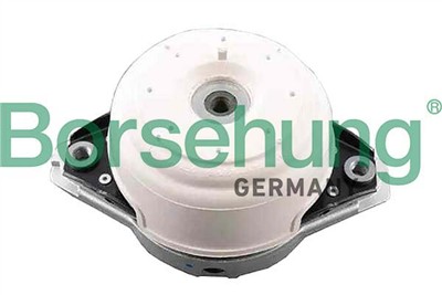 Borsehung B12657