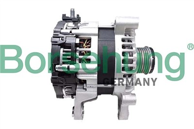 Borsehung B12663