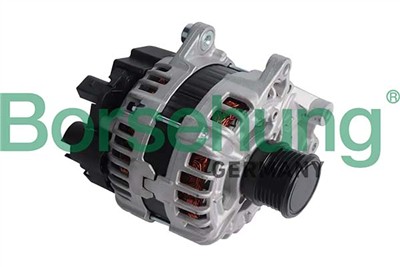 Borsehung B12666