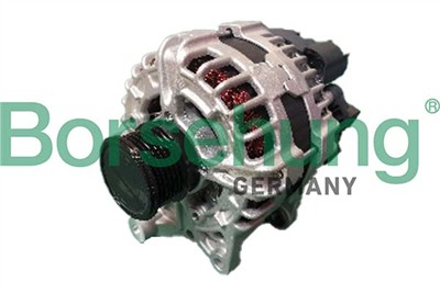 Borsehung B12667