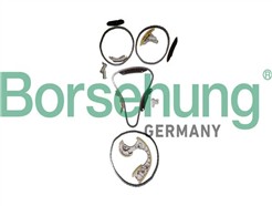 Borsehung B12736