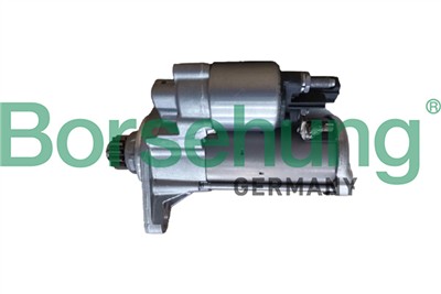 Borsehung B12873