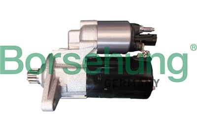 Borsehung B12874