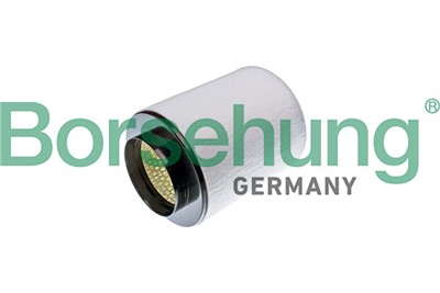 Borsehung B12904