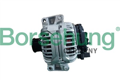 Borsehung B12938