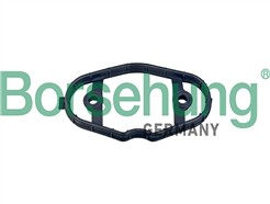 Borsehung B12973