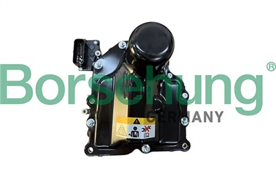 Borsehung B12976