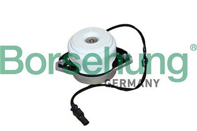 Borsehung B13037