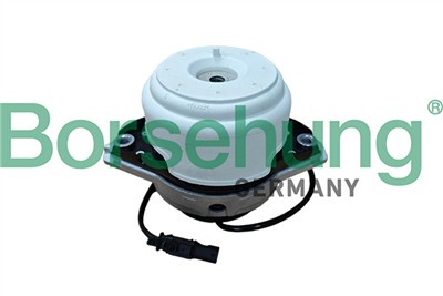 Borsehung B13038
