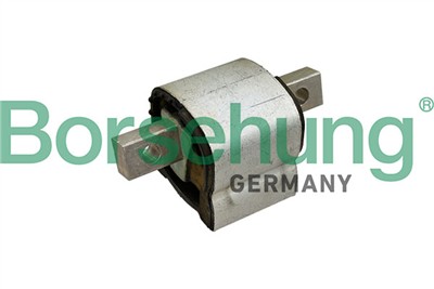 Borsehung B13077