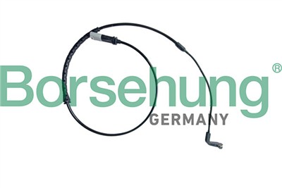 Borsehung B13165
