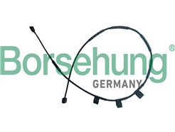Borsehung B13166