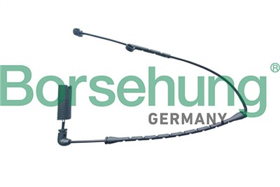 Borsehung B13172