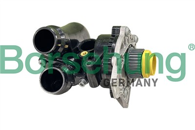 Borsehung B13223