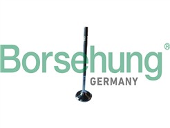 Borsehung B13246