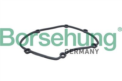 Borsehung B13263