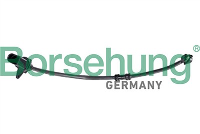 Borsehung B13385