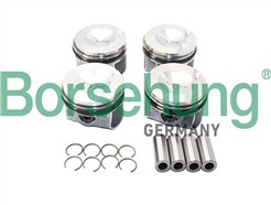 Borsehung B13583