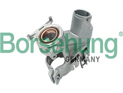 Borsehung B17981