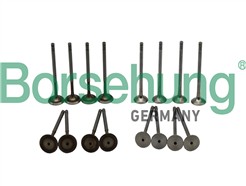 Borsehung B18138