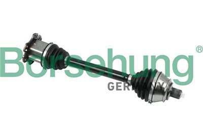 Borsehung B18370