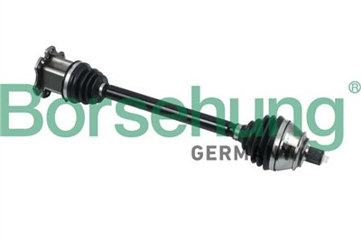 Borsehung B18372