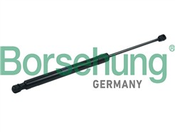 Borsehung B18445