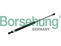 Borsehung B18454