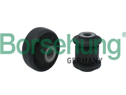 Borsehung B18476