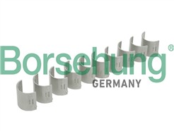 Borsehung B18735