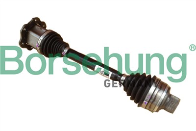 Borsehung B18739