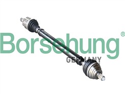Borsehung B18755