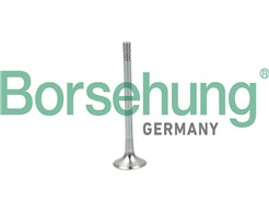 Borsehung B19004