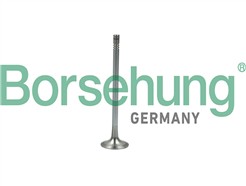 Borsehung B19007