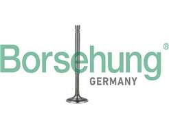 Borsehung B19010