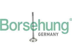 Borsehung B19025