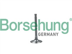Borsehung B19028