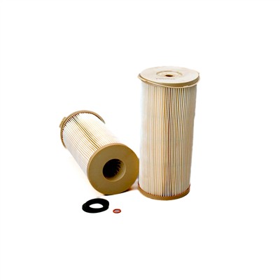 DONALDSON P552020 EAN: 742330043943.
