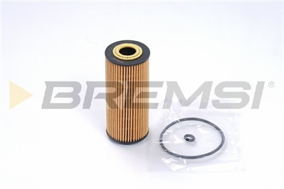 BREMSI FL0256 Číslo výrobce: SL0256. EAN: 8050141093395.