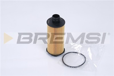 BREMSI FL0289 Číslo výrobce: SL0289. EAN: 8050141093708.