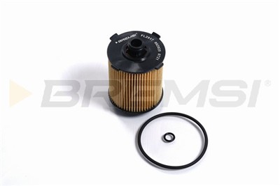 BREMSI FL2917 Číslo výrobce: SL2917. EAN: 8050141369629.