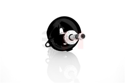 GH GH-329950 EAN: 4251530806884.