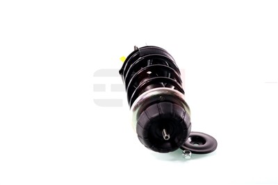 GH GH-355204C01 EAN: 4251530875170.