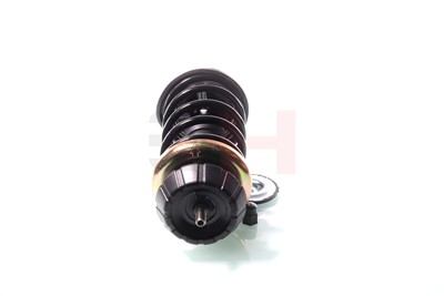 GH GH-355205C01 EAN: 4251530892726.
